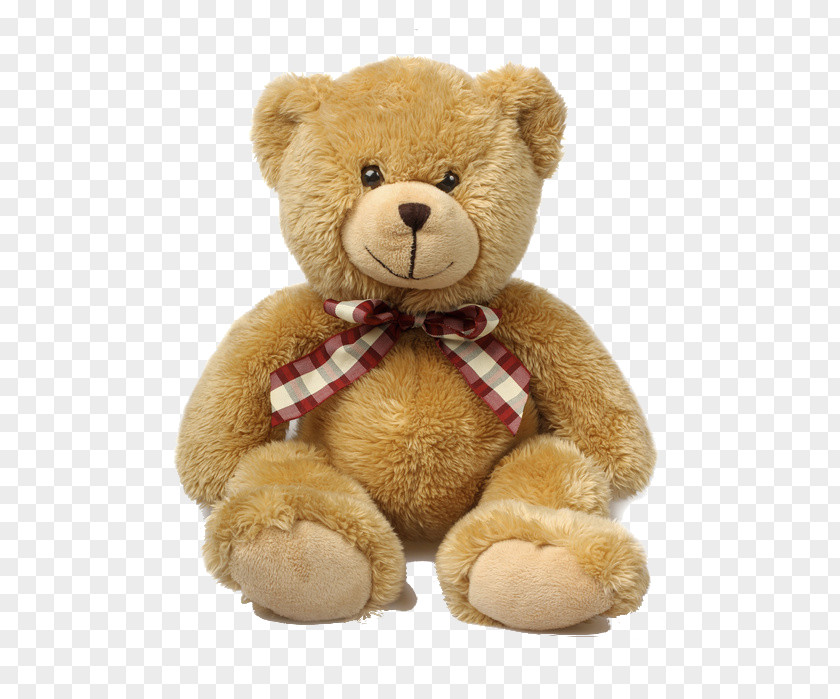 Teddy Bear Stuffed Animals & Cuddly Toys Gift PNG bear Gift, clipart PNG