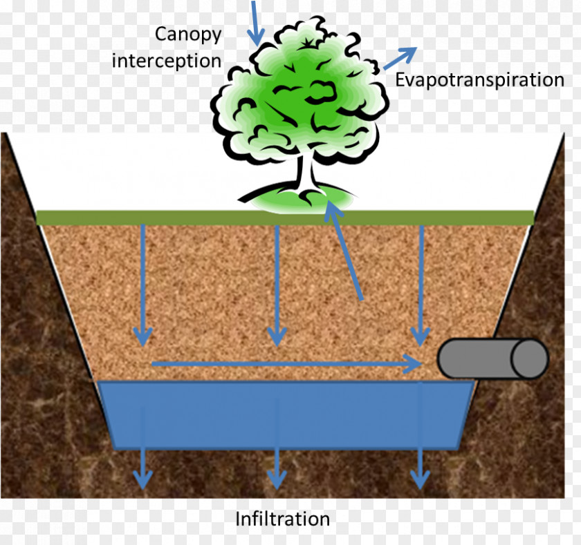 Tree Sighing Forth My Soul: Reflections Along A Journey Of Faith Cartoon Angle PNG