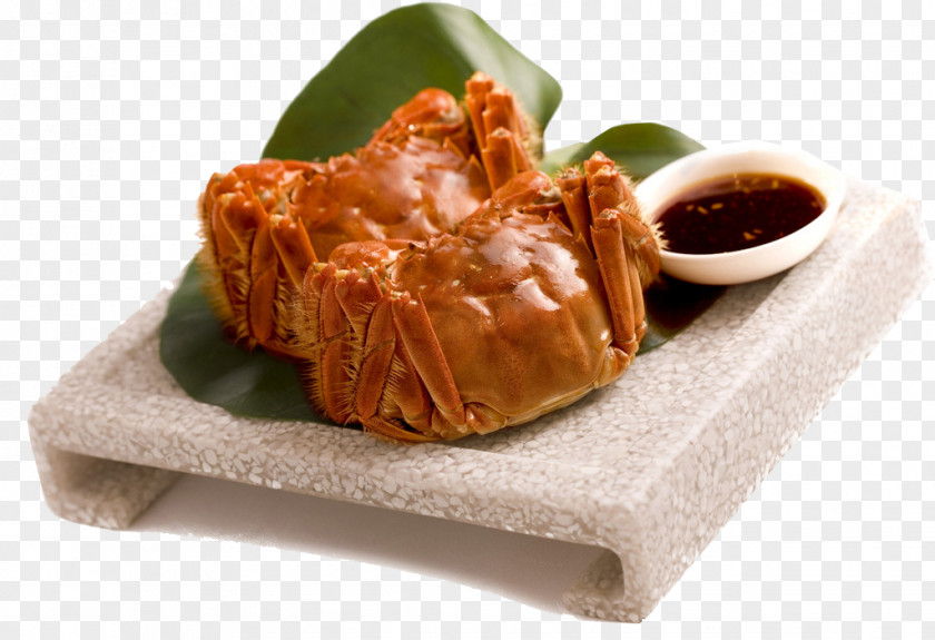 Yangcheng Lake Hairy Crabs Large Crab Chinese Mitten Barbecue PNG