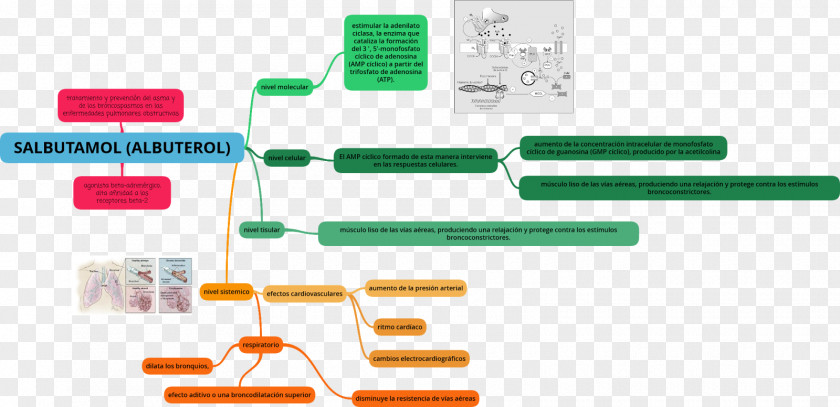 Digital 8 Albuterol Ibuprofen Pharmacodynamics Milligram Hyperkalemia PNG