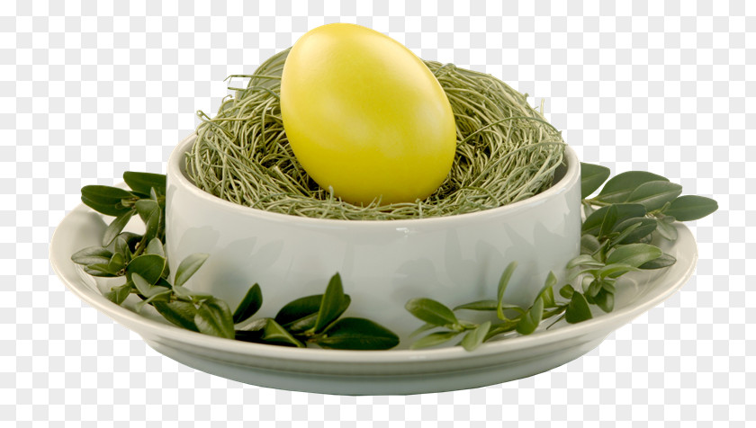 Easter Egg Bird Christmas PNG