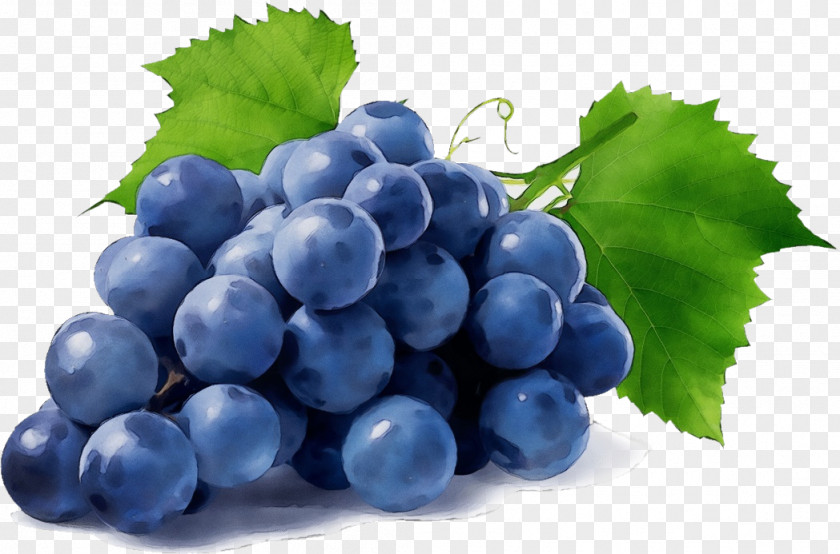 Food Bilberry Grape Leaves Seedless Fruit Grapevine Family PNG