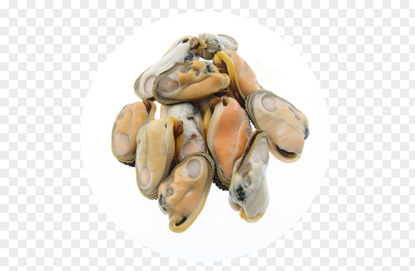 Meat Oyster Mussel Clam Mollusc Shell PNG
