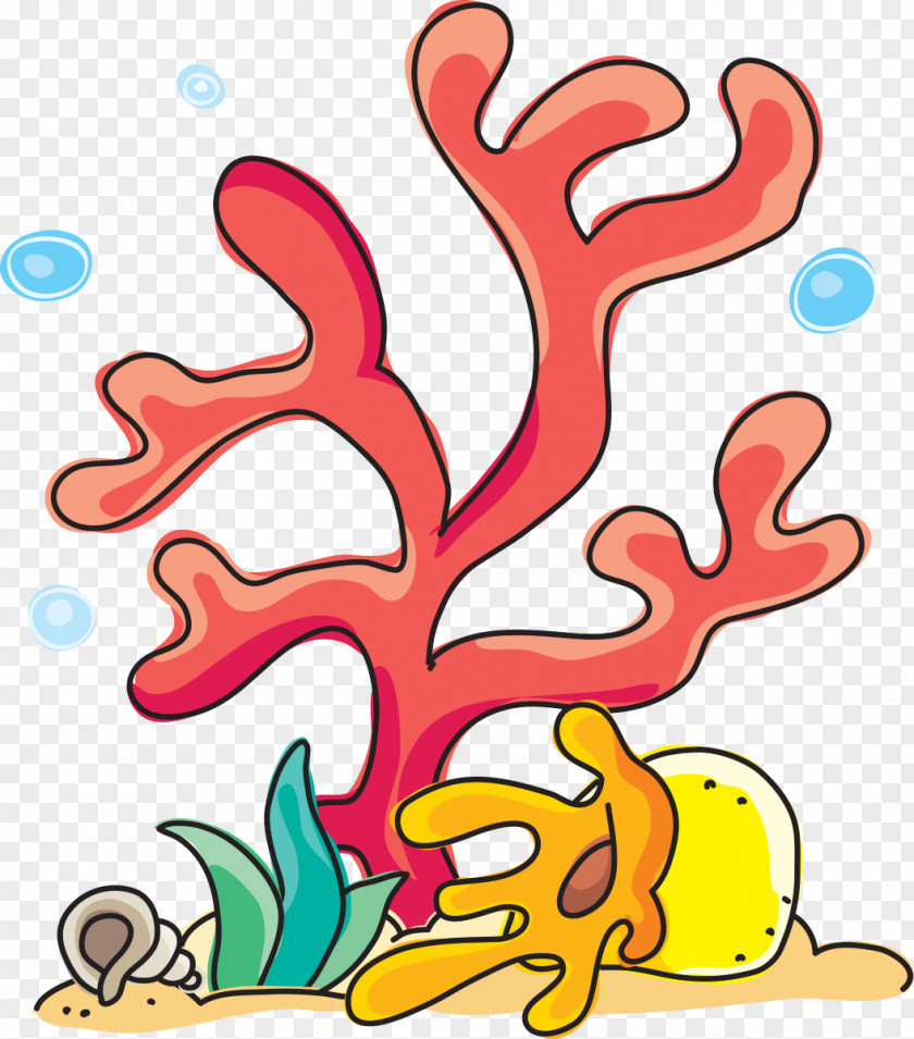 Child Drawing Sea Anemones And Corals Red Coral Paper Clip Art PNG