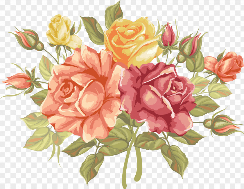 Flower Garden Roses Cabbage Rose Floral Design Floribunda Cut Flowers PNG