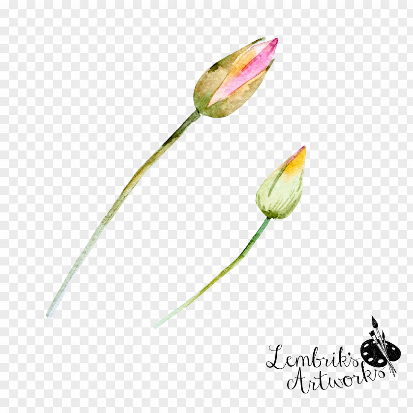 Hand-painted Flowers Bones Bone Flower PNG