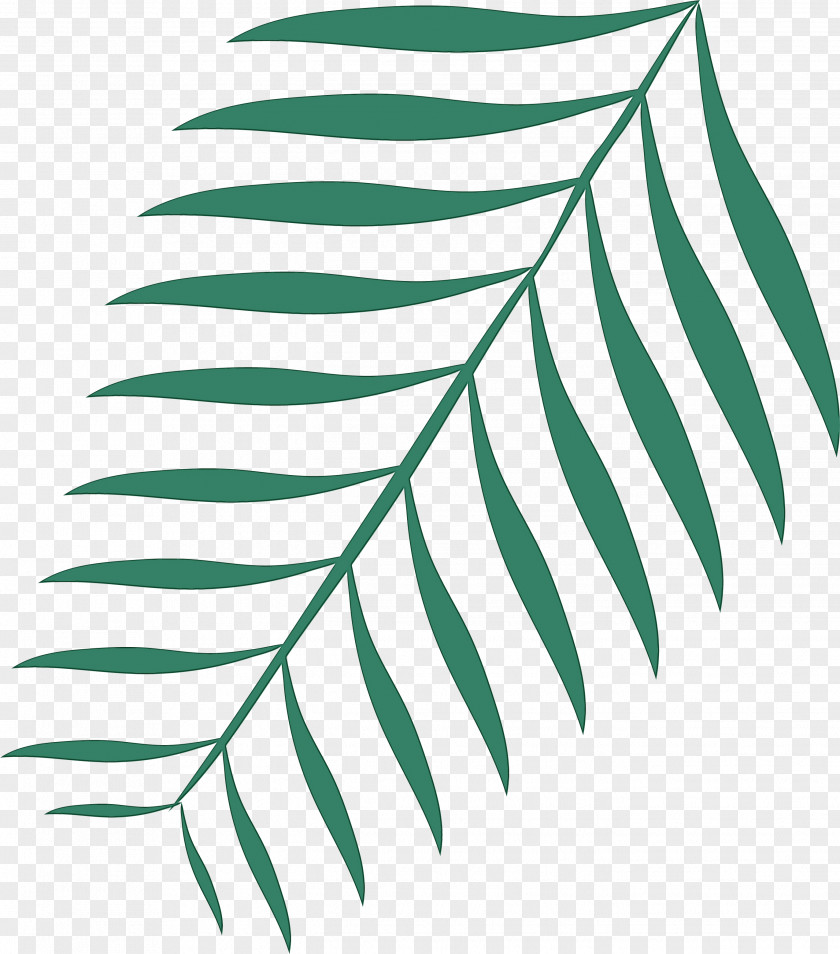Plant Stem Leaf Black & White / M Green Line PNG