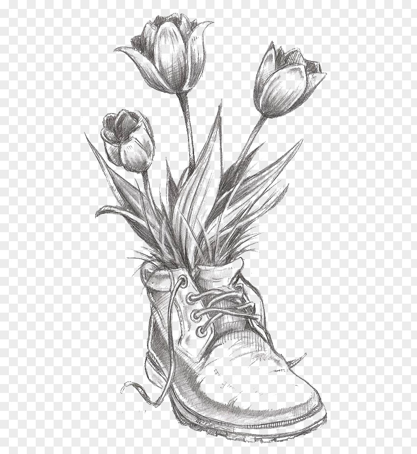 Tulip Drawing Flower Pencil Sketch PNG