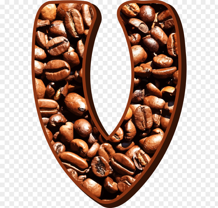 Coffee Beans Jamaican Blue Mountain Bean Service Typography PNG