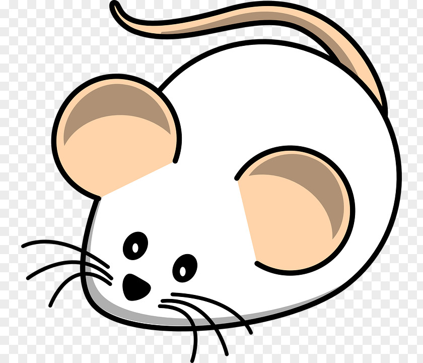 Creative Ideas Lying Rat Free Pictures Mickey Mouse Computer House Cartoon Clip Art PNG