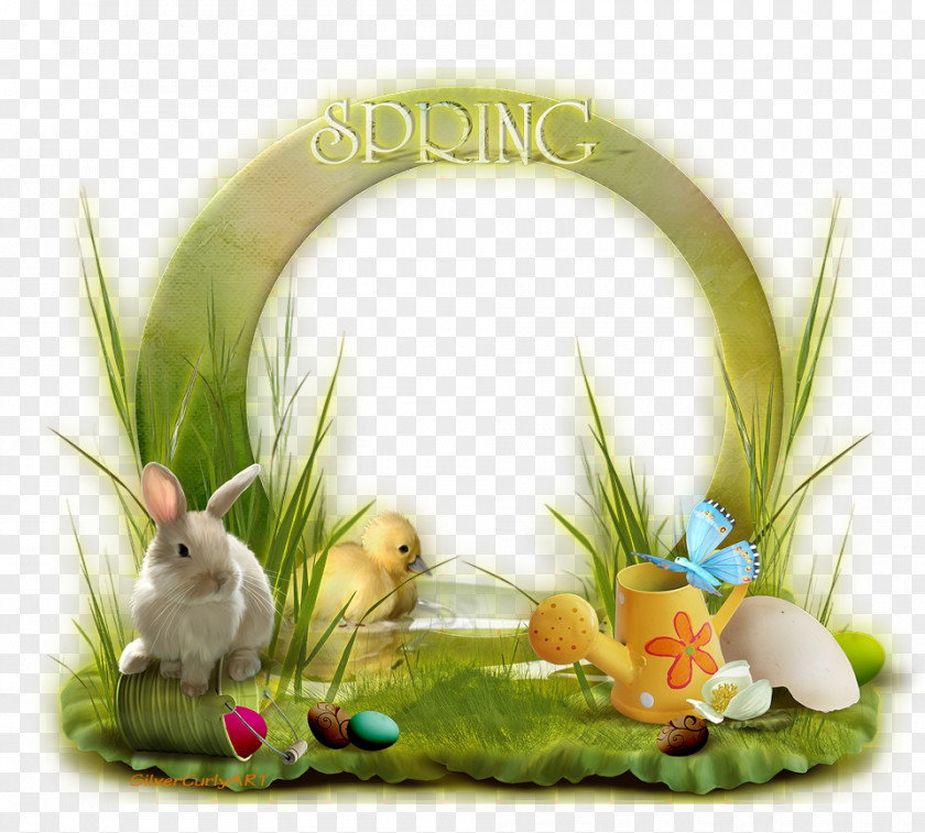 Gaga Cat Alice Easter Whiskers PNG