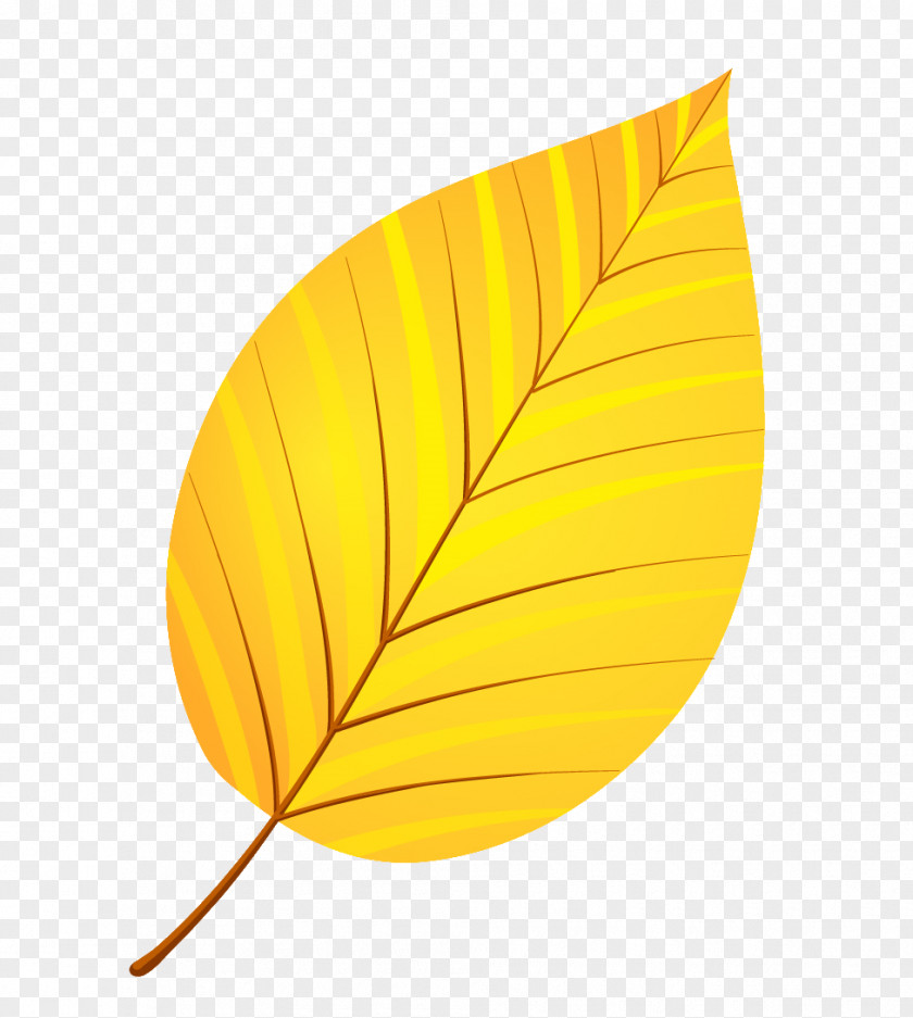 Leaves Leaf Yellow Autumn Petal PNG