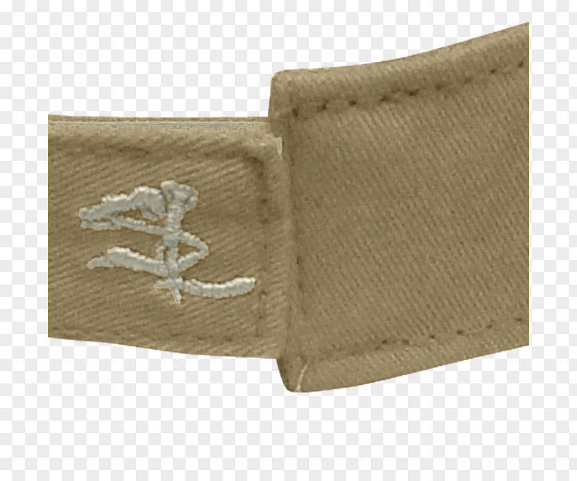 Salt Life Shoe Khaki PNG