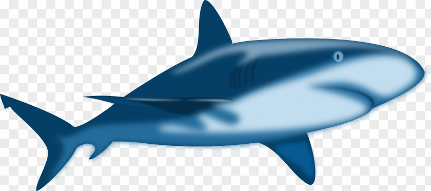 Shark Free Content Clip Art PNG
