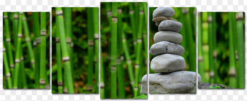 Bamboo 4K Resolution Desktop Wallpaper Garden PNG