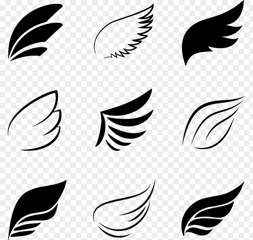 Black Wings Logo Elements Bird Flight Angel Wing PNG