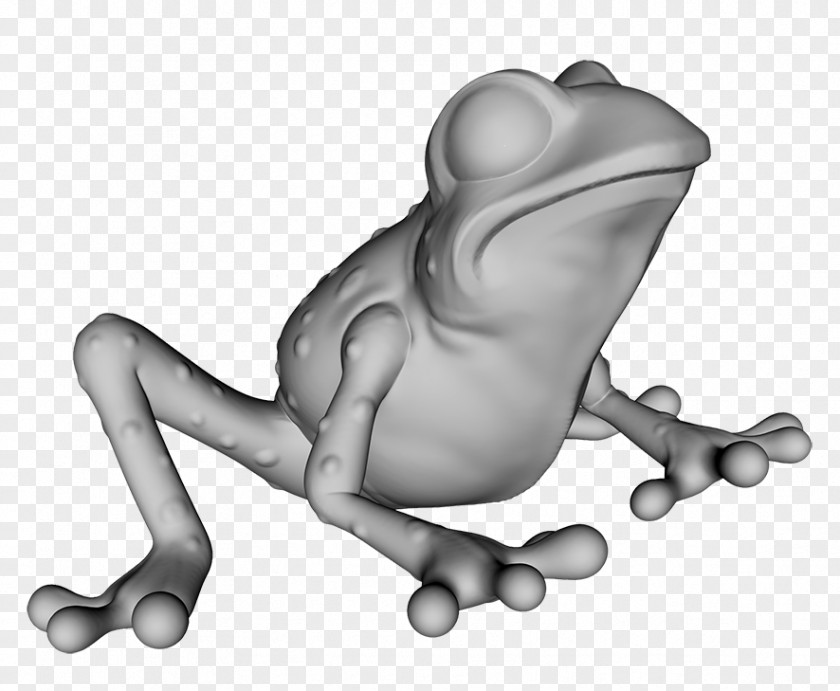 Frog Tree Toad True Clip Art PNG