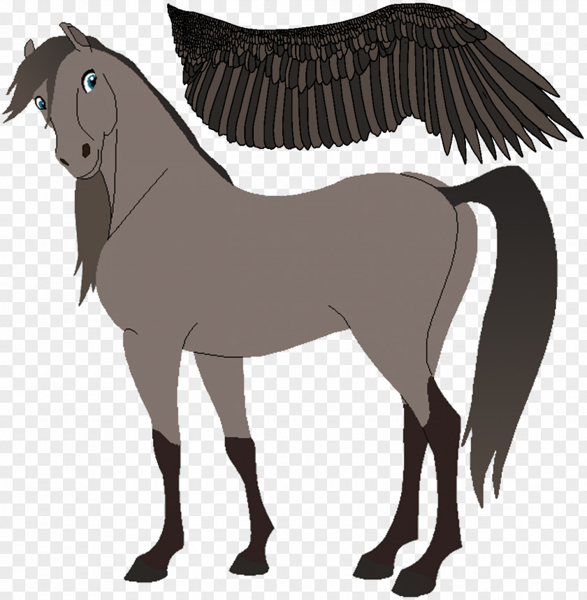 Horse Mare Mule Stallion Pony PNG
