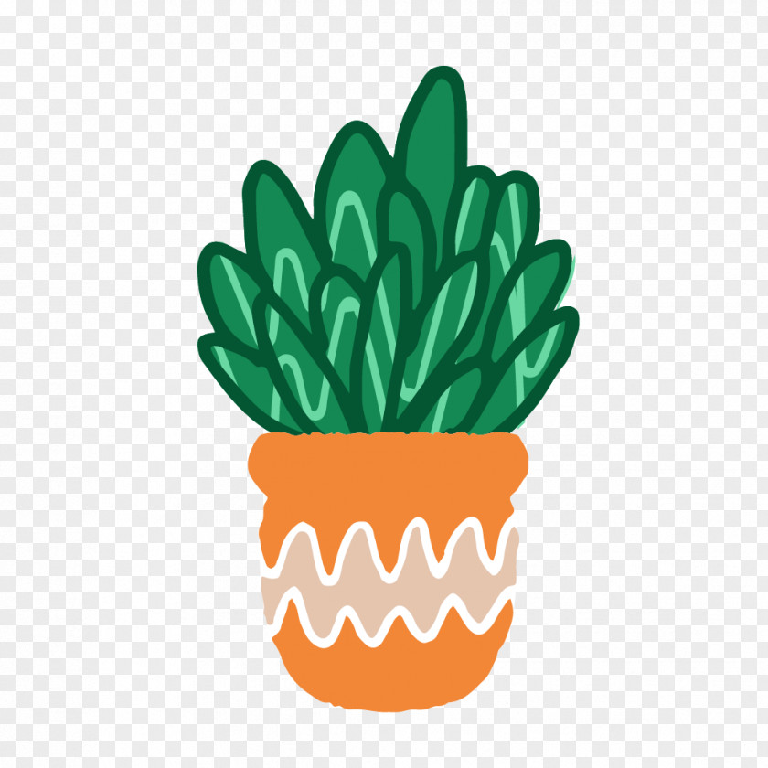 Pot Plkant Cactus Garden Succulent Plant Drawing Flowerpot PNG