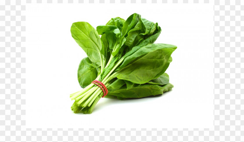 Spinach Palak Paneer Smoothie Leaf Vegetable PNG