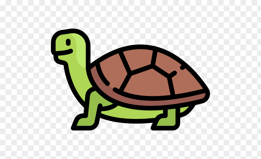 Turtle Tortoise Sea Cartoon Clip Art PNG