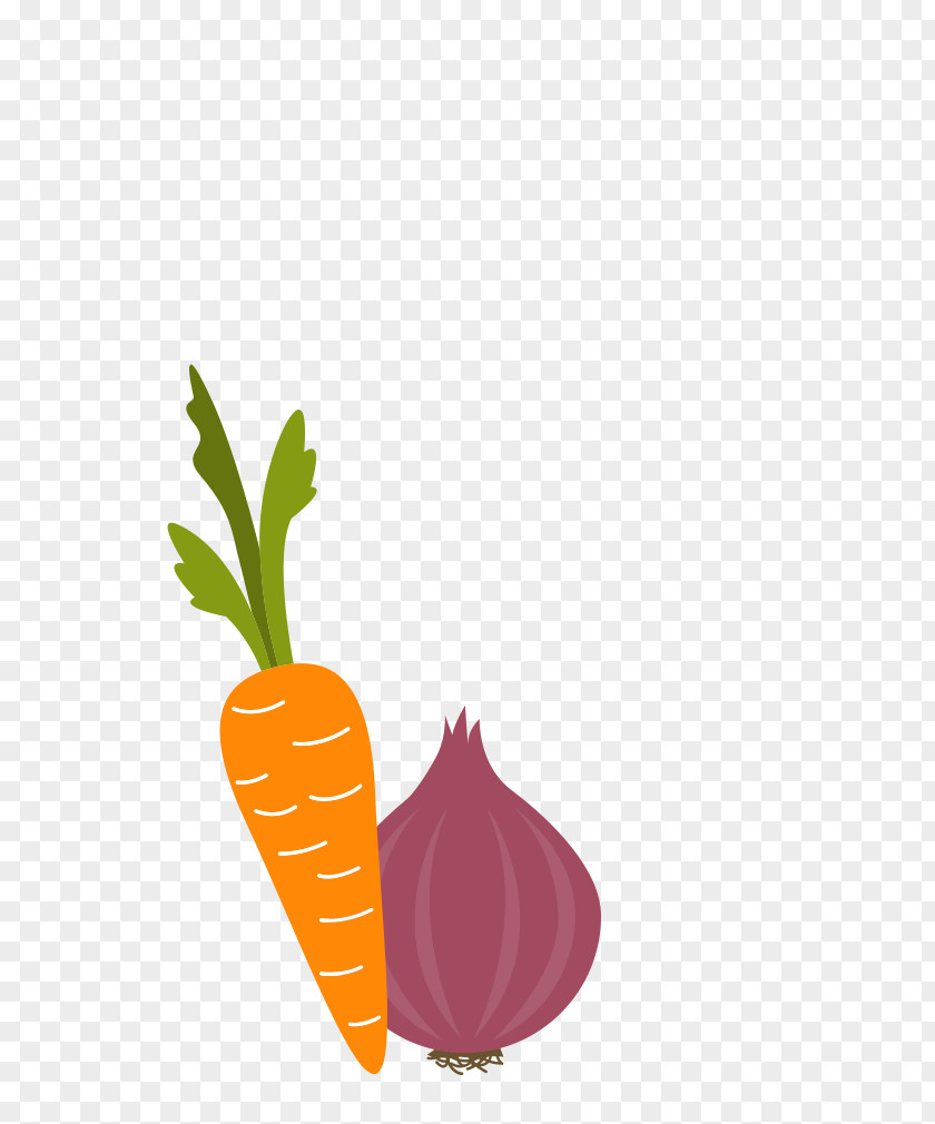 Cartoon Vegetables Carrot Vegetable Drawing Onion PNG