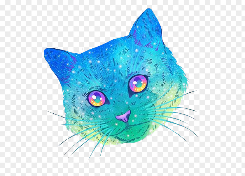 Cat Illustrator Artist Drawing PNG