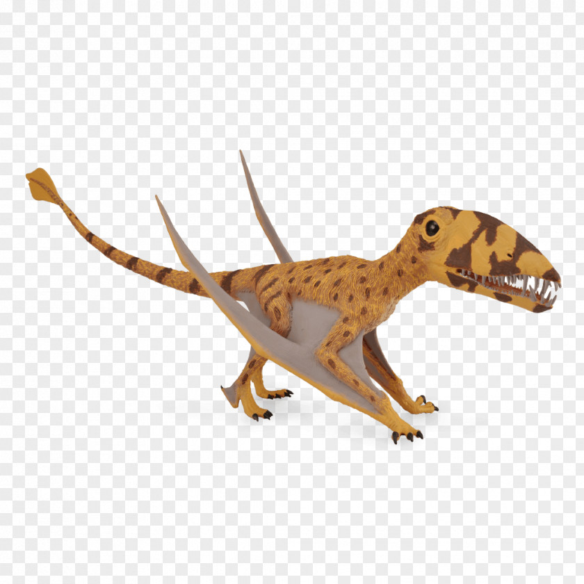 Dinosaur CollectA Dimorphodon Toy Pterosaurs Attenborosaurus PNG