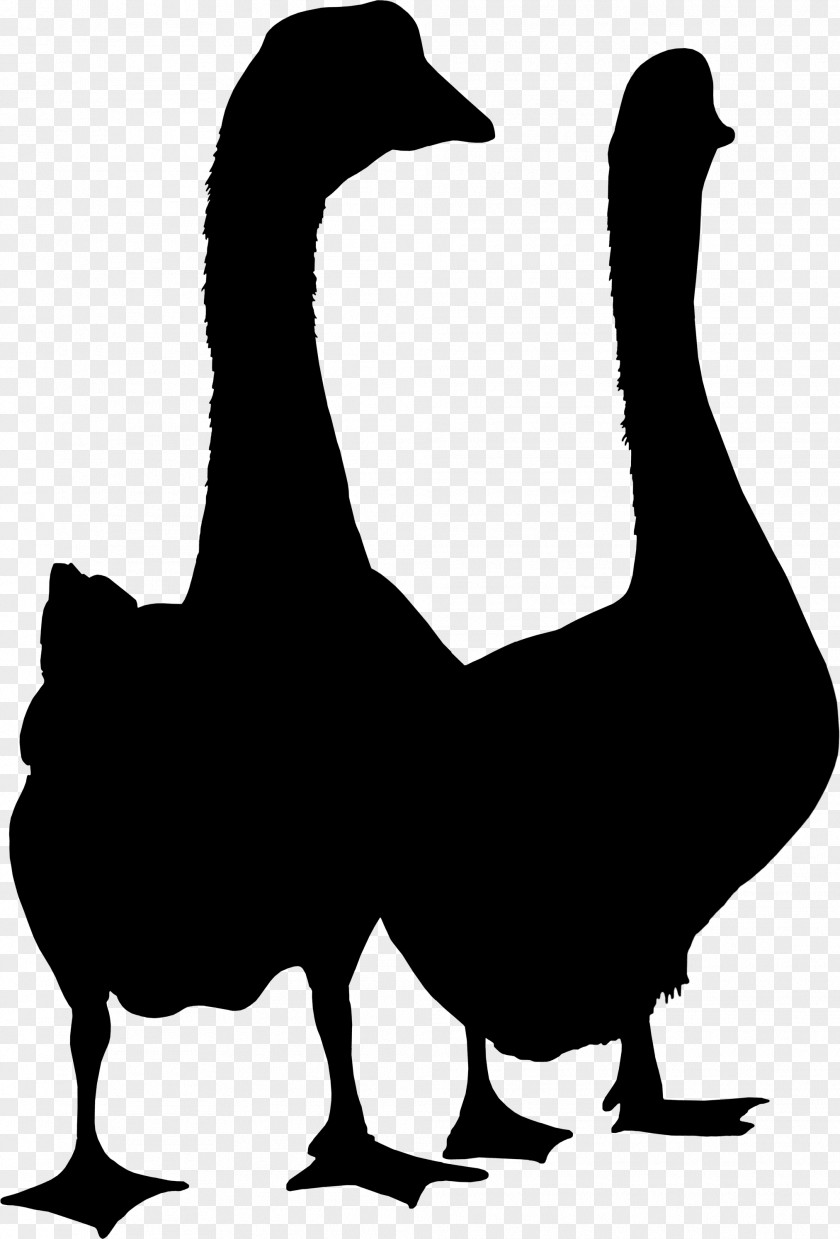 Duck Goose Clip Art Fauna Silhouette PNG