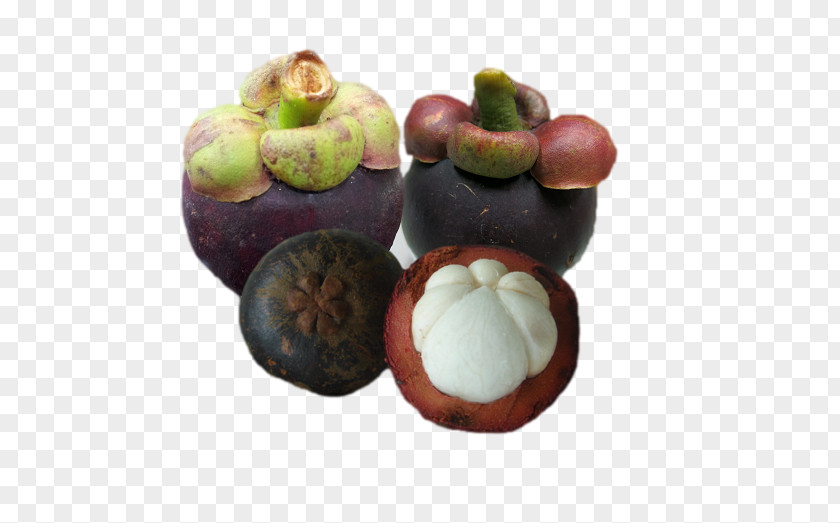 Mangosteen Resort Ayurveda Spa Purple Kaohsiung Xanthone Southern Taiwan Mangifera Indica PNG