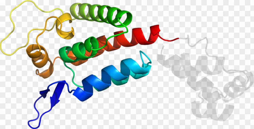 P24 Capsid Protein Product Design Clip Art Organism Line PNG