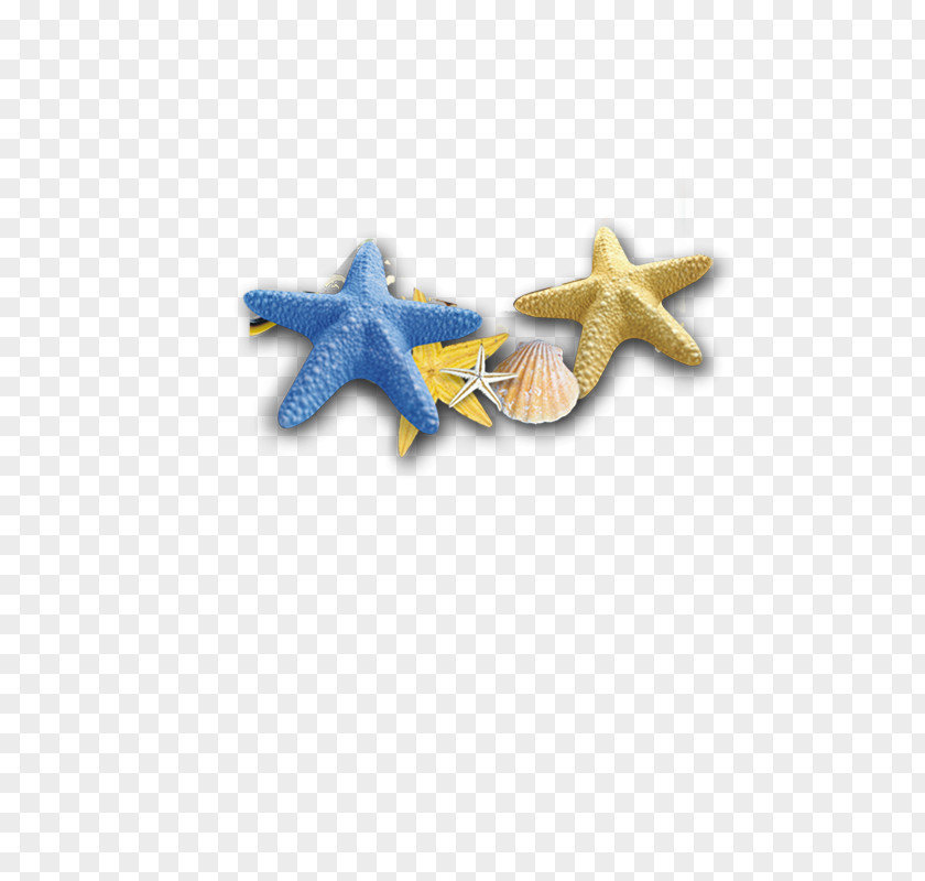 Starfish Seafood Lobster Fish PNG
