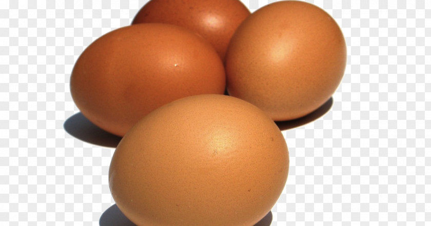 Egg Food Cholesterol Allergy Healthy Diet PNG