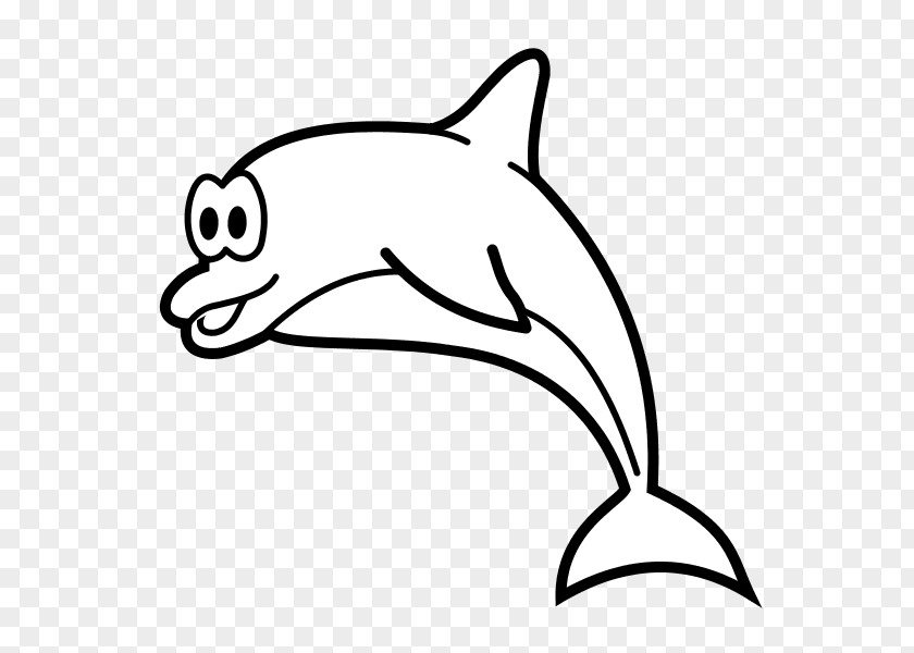 Far Oceanic Dolphin Cetacea Drawing Clip Art PNG