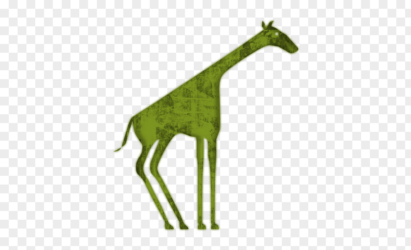 Giraffe Northern Symbol Animal PNG