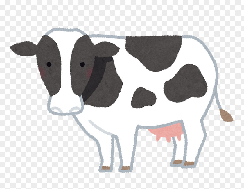 Milk Dairy Cattle Milking Baka Holstein Friesian PNG