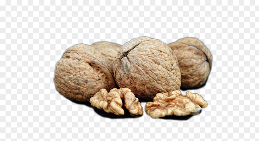 Walnut Dried Fruit PNG