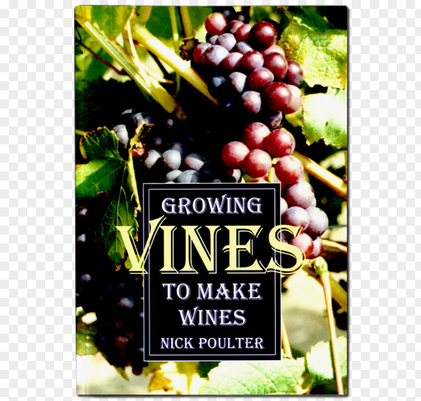 Grape From Vines To Wines: The Complete Guide Growing Grapes And Making Your Own Wine Make Wines Common Vine PNG