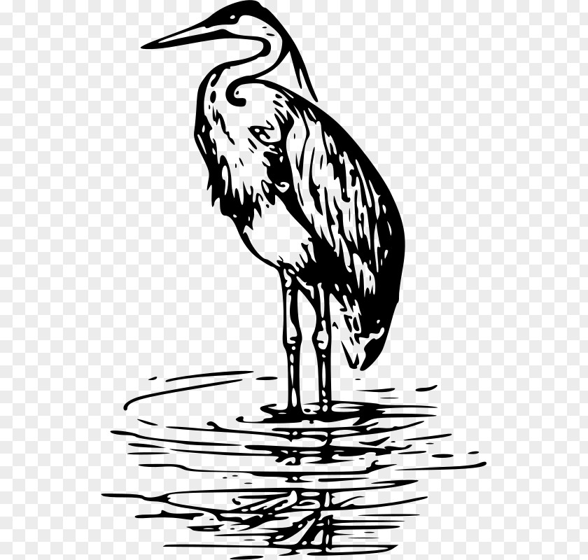 Sea The Lonely Heron Crane Bird Clip Art PNG