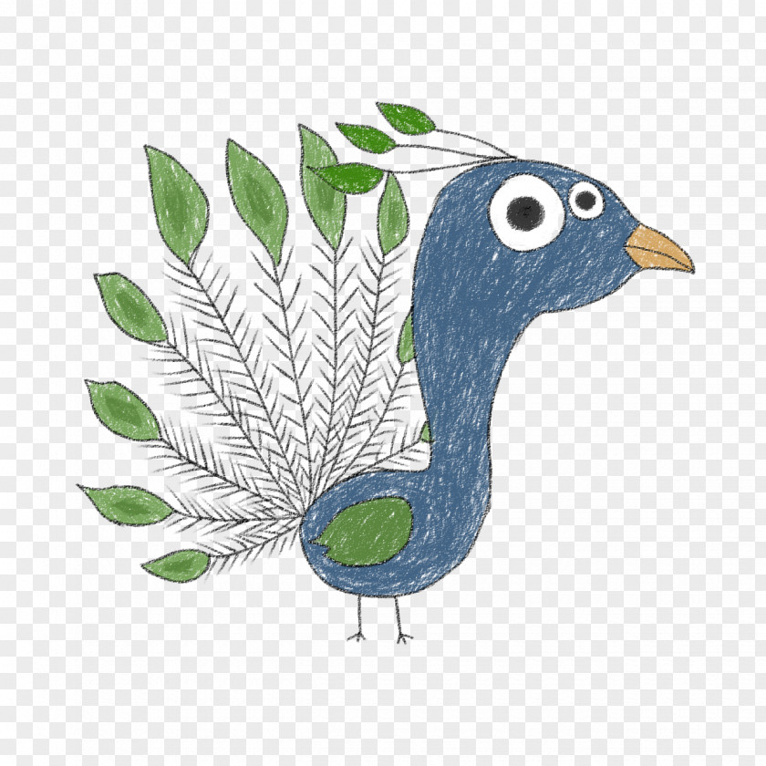 Zoo Gif Chicken Landfowl Illustration Beak Feather PNG