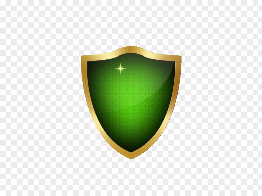 Blue Shield Logo Green PNG
