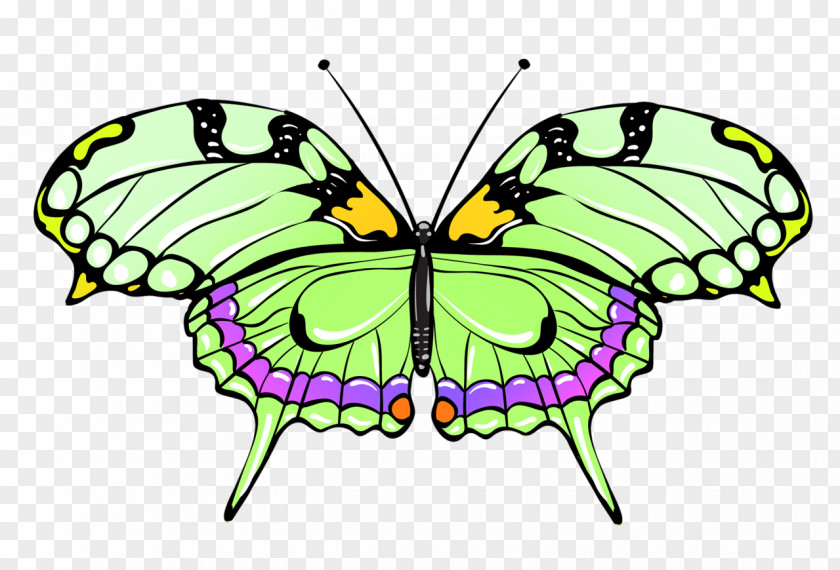 Butterfly Monarch Pieridae Brush-footed Butterflies Clip Art PNG