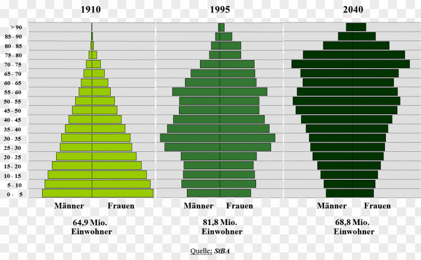 Christmas Tree Fir Spruce Green Angle PNG