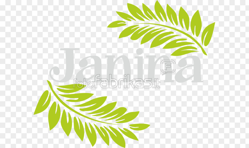 Clip Art Image Shoeblackplant PNG