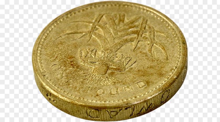 Coin Gold 01504 Bronze PNG