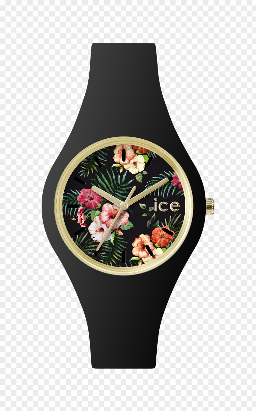 Hamilton Watch Company Ice Flower ICE-Watch ICE Glitter Duo PNG