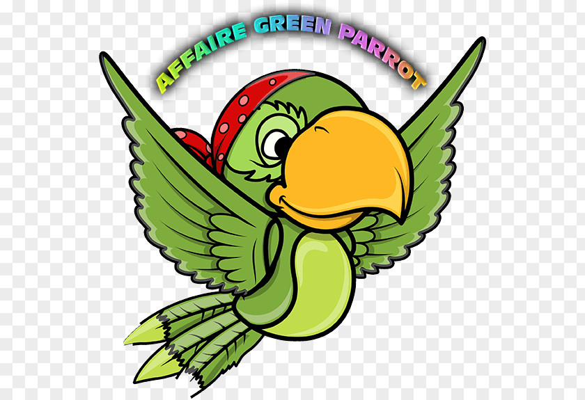 Parrot Vector Graphics Drawing Pirate Illustration PNG