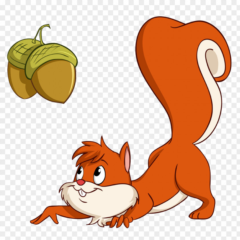 Squirrel Cartoon Royalty-free Illustration PNG