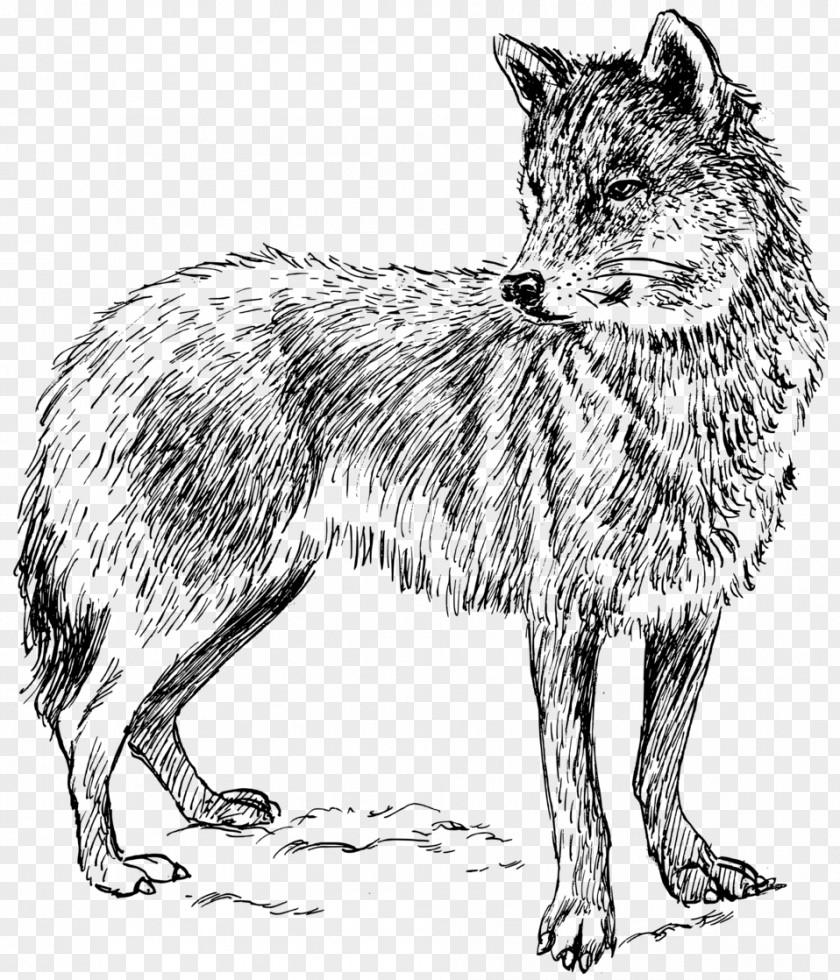Dog Arctic Wolf Black Clip Art PNG