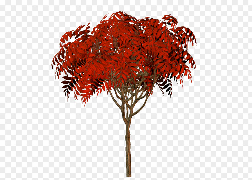 Email Tree Internet PNG